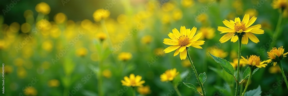 Flor amarilla intenta encontrar su camino a trav?s de la densa vegetaci?n, blooming flowers, dense foliage, goldenrod Flor amarilla intenta encontrar su camino a trav?s de la densa vegetaci?n, blooming flowers, dense foliage, goldenrod