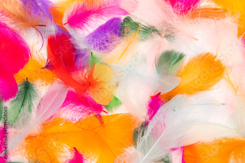 Many feathers, wings, angels, clothes, fashion, watercolor, painting, colors, paints, backgrounds, tribes, Native Americans, backgrounds, patterns, swans, princesses, simplicity, color palette, cool