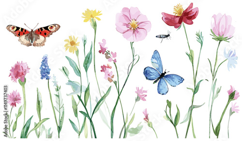 Detailed watercolor botanical illustration of vibrant wildflowers with a butterfly and dragonfly perched gracefully on the blooms, capturing nature's delicate beauty in a serene scene.