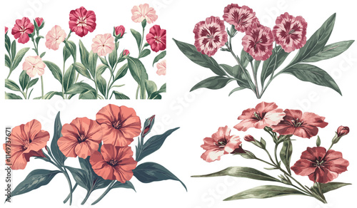 Dark red and pink Sweet William flowers with deep green leaves in a classic 1800s engraving style, soft shadows, vintage floral design, antique botanical art, timeless elegance.