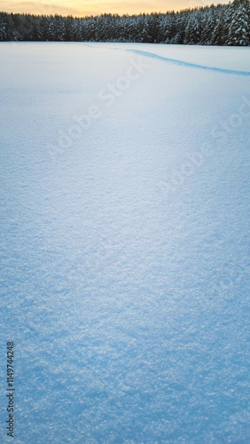 Background made of field cowered with snow with a line trees of forest at horizon in the background at evening dusk with sunlight at cold winter season outdoors at countryside with copy space