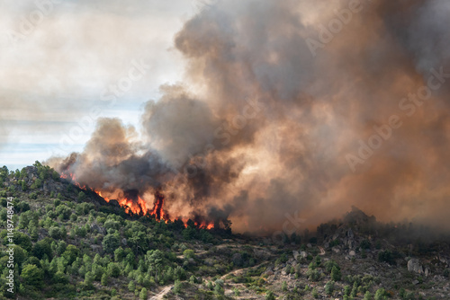 Incêndio florestal em área montanhosa com densa fumaça e chamas intensas a queimar toda a floresta photo