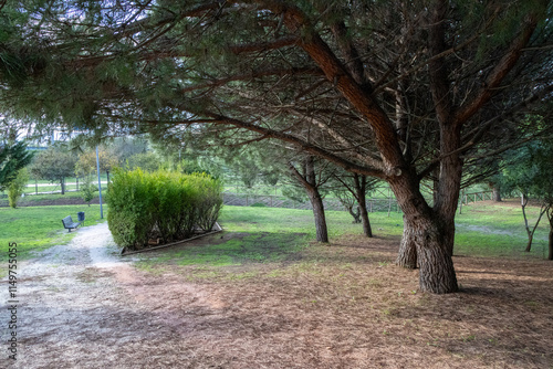 Green park with pine trees and gravel path in loures portugal photo