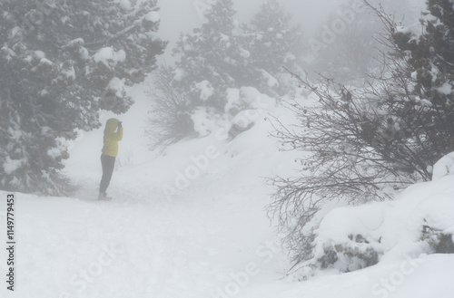 Unrecognized woman walking in snow during snowstorm in snowy mountain in winter. Troodos forest cyprus wintertime photo