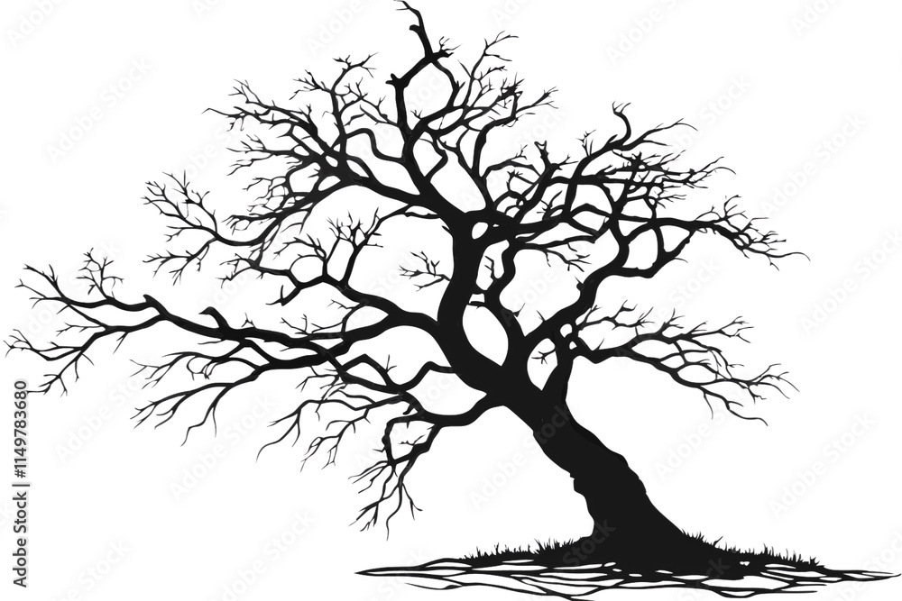 Fototapeta premium A detailed black-and-white artistic tree, slightly tilted, with sprawling branches and intricate textures, showcasing organic growth and symmetry, isolated on a transparent background