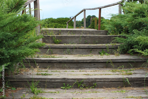 Wooden railings and steps of an old bridge surrounded by juniper bushes
 photo