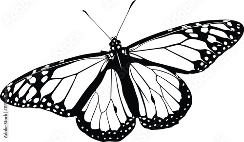Butterfly Vector, Black and White vector Butterfly.