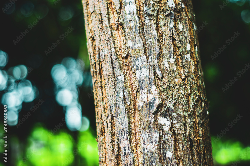 Obraz premium energy: By reducing the use of fossil fuels, fewer greenhouse gasses are released into the atmosphere. Recycle: Recycling reduces waste and decreases the consumption of resources.Forests provide natur