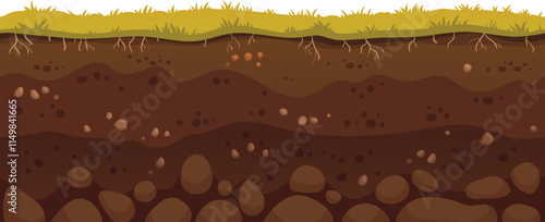 Green grass growing on brown soil layers with visible roots and rocks, representing a healthy and fertile ground perfect for agriculture and gardening