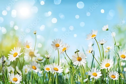 The background features a light blue, purple, and yellow gradient sky with sparkling stars, and a green grassland full of colorful, blooming flowers in the foreground, including pink daisies. photo