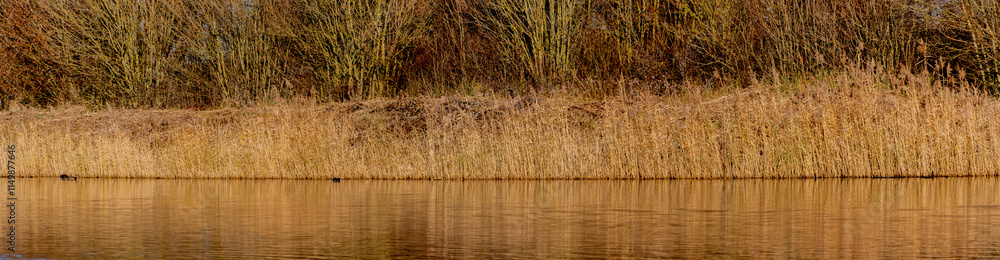 Wide tranquil lakeside view panorama Wide tranquil lakeside view panorama