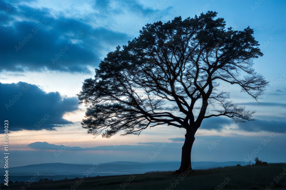 Silhouette of a leafy tree