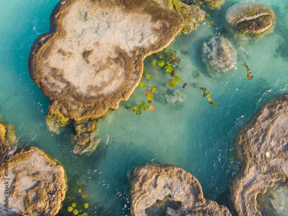 Aerial Drone Shot of Ancient Stromatolites in seven colores lagoon near Bacalar, Quintana Roo, Mexico