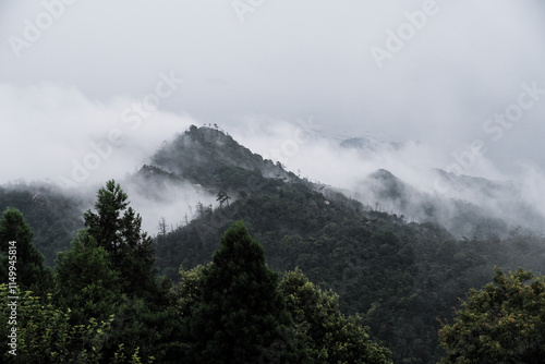 Atemberaubende japanische Natur mit üppigem Grün, nebelverhangenen Bergen und Wolken, wunderschöne, ruhige Landschaft, friedliche Szene photo