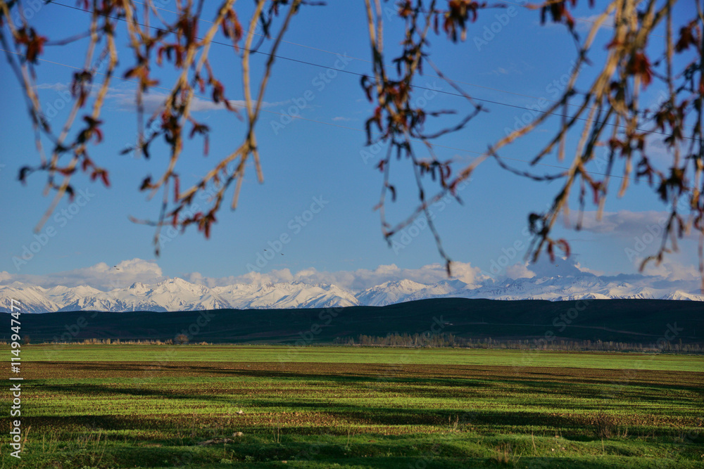 a green agricultural field with a view of snowy mountains and peaks a green agricultural field with a view of snowy mountains and peaks
