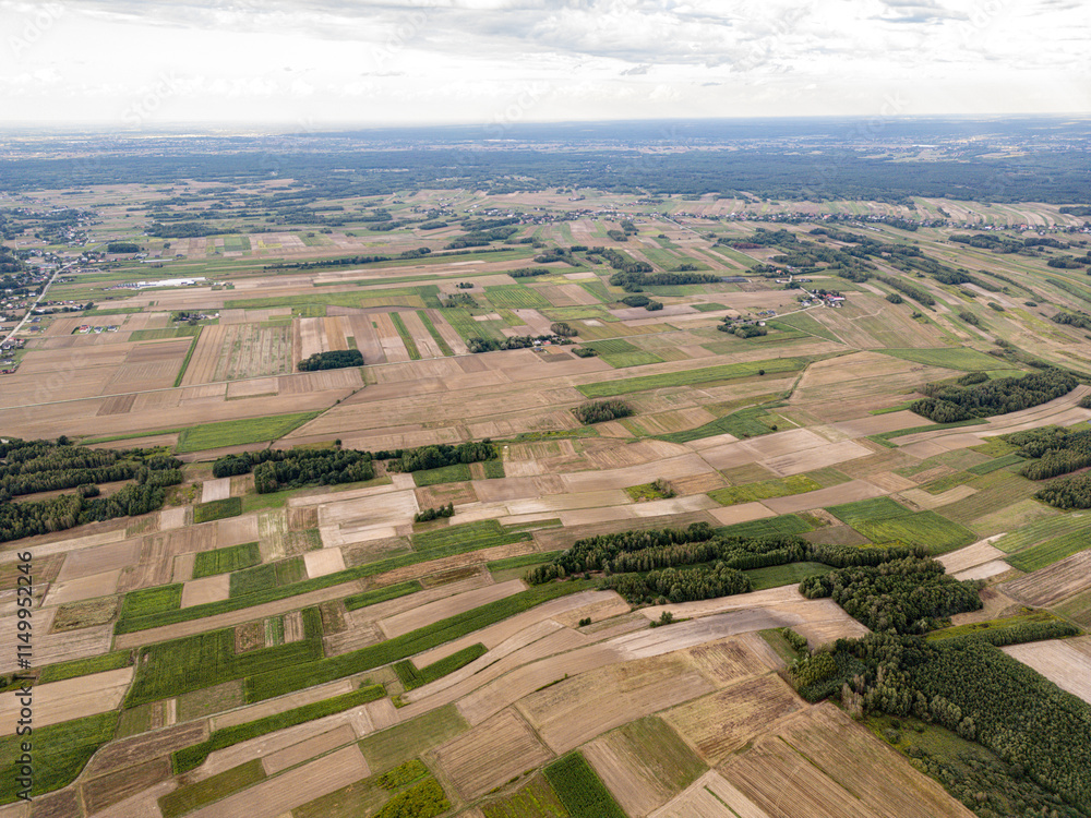 Naklejka premium Patchwork Fields from Above, A broad aerial view showcasing a mosaic of farmlands, where diverse fields form a geometric tapestry extending toward the distant horizon