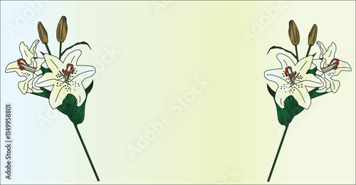 lily flowers background for occasion invitation card.