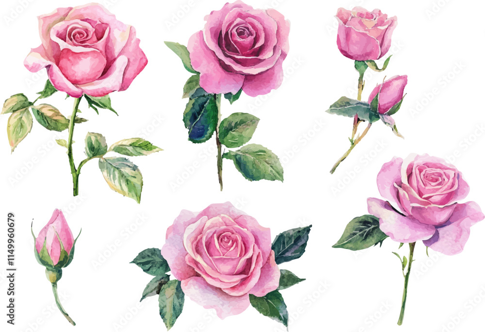 pattern with pink roses pattern with pink roses