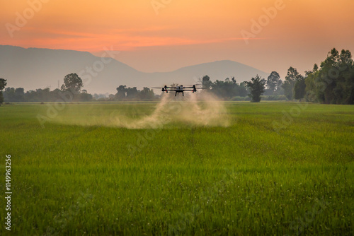 Smart farm with drone, Agriculture drone fly to sprayed fertilizer on the rice fields in the evening.