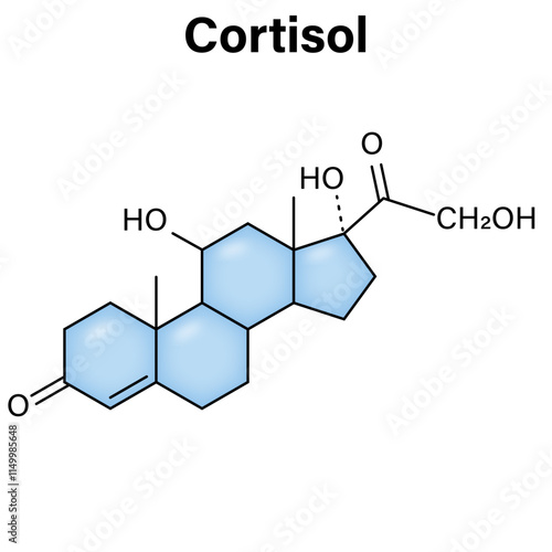 Structure of Cortisol Molecule, Detailed Chemical Representation, Hormone Diagram in White Background, Science Vector Illustration