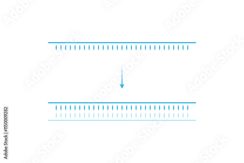DNA Polymerase Enzyme Function Science Design. Vector Illustration.