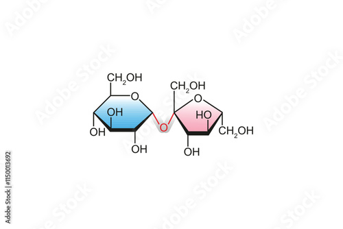 Sucrose Sugar Molecule Science Design. Vector Illustration.
