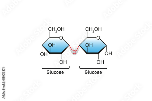 Maltose Sugar Molecule Science Design. Vector Illustration.