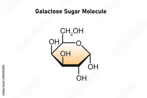 Galactose Sugar Molecule Science Design. Vector Illustration.