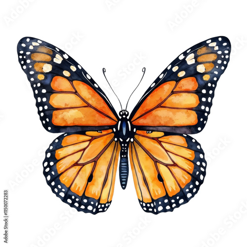 Illustration of a Monarch butterfly