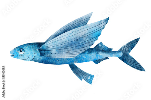 Blue flying fish, latin name Exocoetus volitans. Hand drawn illustration