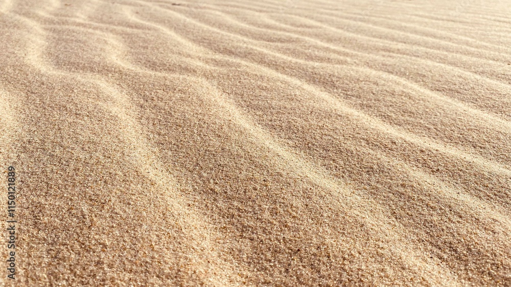 Sand Texture Sand Texture