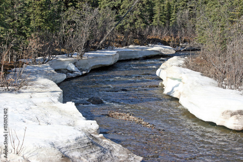 River running through snowy banks in early Spring, Denali National Park, Alaska USA
