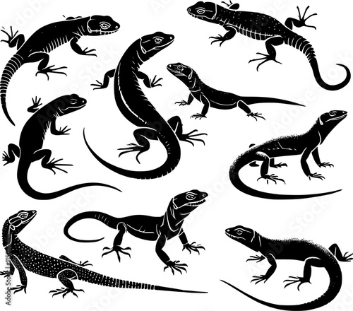 set of black and white lizard