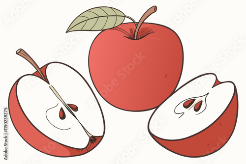 Apple, Whole with a stem, sliced with visible seeds vector illustration on a white background