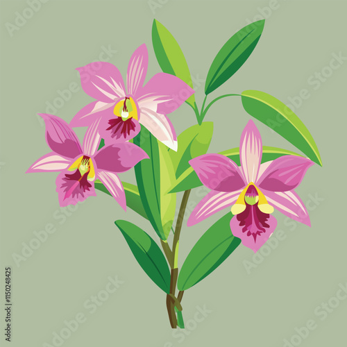 Print orchids orchidaceae flower tree  vector isolated on white background