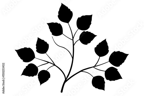 leaves of linden tree silhouette.