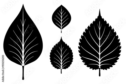 Black silhouette of linden leaf.