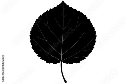 Black silhouette of linden leaf.