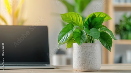 Sunlightfilled office with ergonomic furniture, wellnessfocused design, fresh plants, calming energy photo