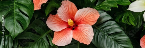 Wallpaper Mural Tropical Hibiscus Blossom - Lush greenery, vibrant hibiscus, tropical foliage, exotic flower, summer bloom. Torontodigital.ca