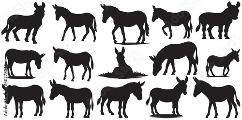 Donkey silhouettes set. Donkey Silhouettes in Different Poses. Silhouettes of donkey vector