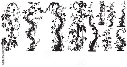 Jungle creeper silhouettes. Tropical forest lianas,  Climbing liana vines flat vector illustration set