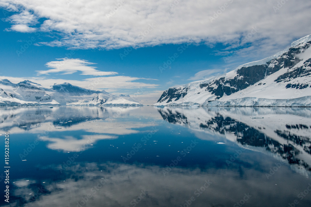 custom made wallpaper toronto digitalthe beuty of antartica