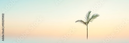 Isolated Palm Tree Against a Pastel Sky at Dawn With Soft Colors Blending in the Background