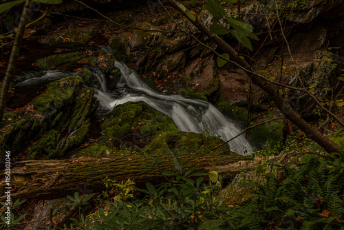 Van Campen Glen in the Delaware Water Gap National Recreation Area photo