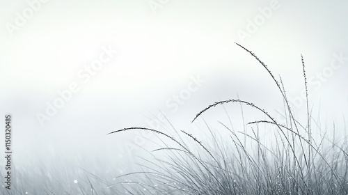 Dew-drenched Grass Sways Gently in the Early Morning Fog Over a Tranquil Meadow Landscape