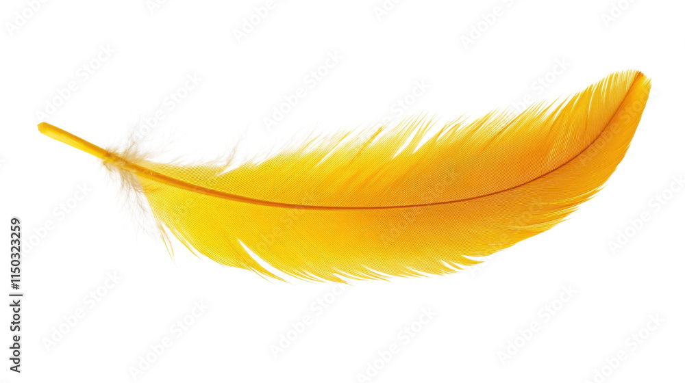 Yellow feather, transparent background Yellow feather, transparent background