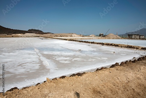 salt production at Lake Afrera in the Ethiopian Afar region photo