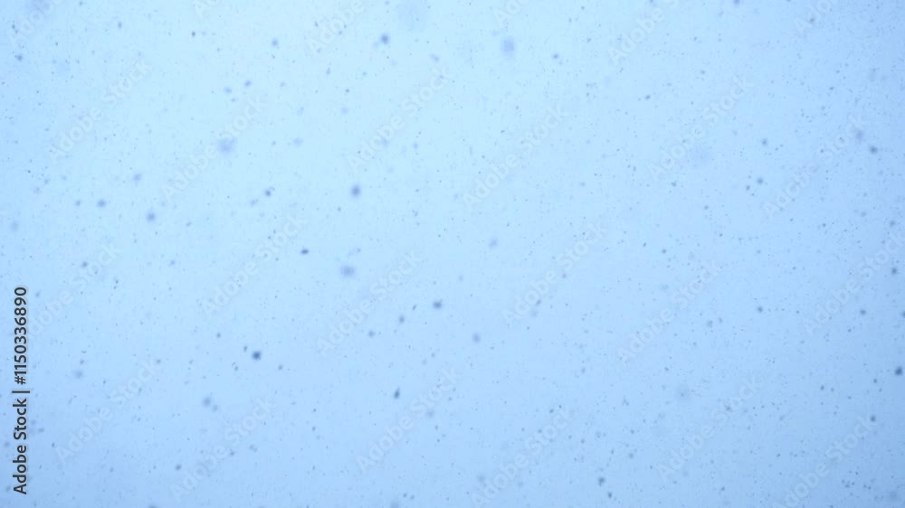 Gentle Snowfall Creating a Dreamy and Enchanting Winter Atmosphere with Soft Flakes Gentle Snowfall Creating a Dreamy and Enchanting Winter Atmosphere with Soft Flakes