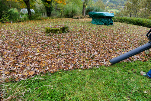 Results of clearing autumn leaves using a leaf blower photo